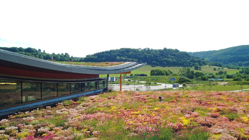 vaste toiture en végétalisation extensive au premier plan avec un autre bâtiment végétalisé à gauche, paysage de collines boisées à l'arrière plan.