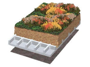 schéma du système de végétalisation extensive pour toiture inclinée de 9 à 20% : géotextile, plaque de rétention d'eau et de drainage, substrat et végétaux
