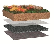 schéma du système de végétalisation extensive avec retention d'eau par plaques de drain