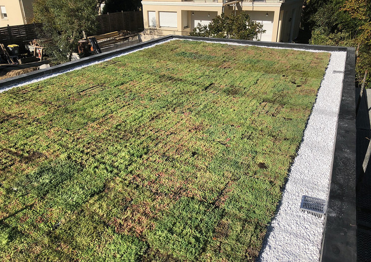42 m² système de cassettes pré-cultivées SedumPack®
