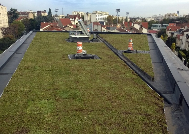 au premier plan une toiture plate étanchée en membrane EPDM puis végétalisée avec sortie de ventilation et puit de lumière, à l'arrière plan une zone urbaine.