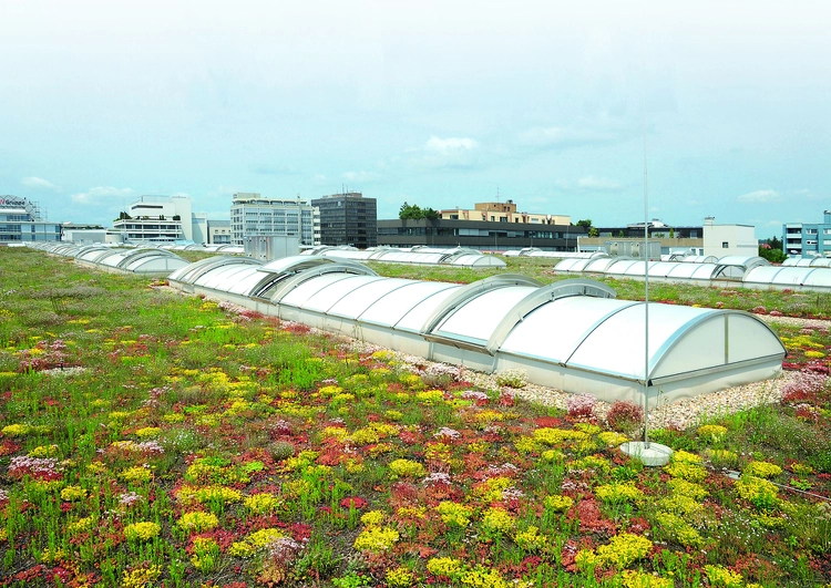 grande toiture plate avec végétalisation et puits de lumières, à l'arrière plan de grands immeubles en zone urbaine.