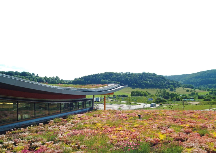 Au premier plan la végétalisation d'une toiture d'un bâtiment industriel, à l'arrière plan un paysage avec des champs et des bois.
