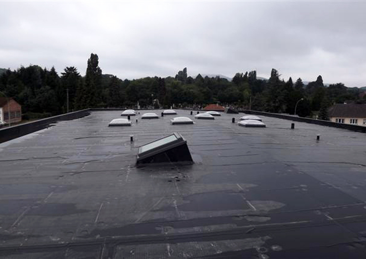 grand bâtiment industriel, toit plat couvert en membrane EPDM avec de nombreuse sorties de ventilation et puits de lumière, acrotères sur toute la périphérie, temps pluvieux, arrière plan boisé