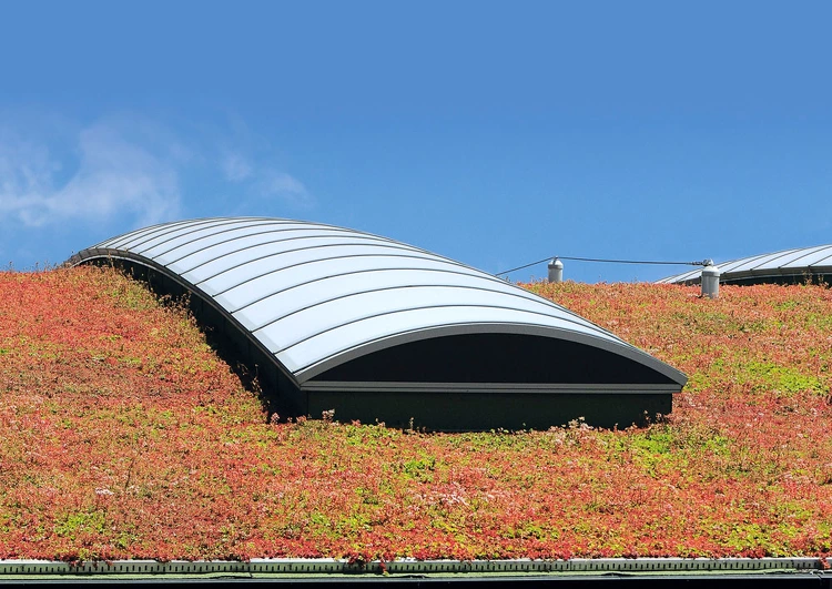 vue en contre-plongée sur un toit végétalisé avec puit de lumière.